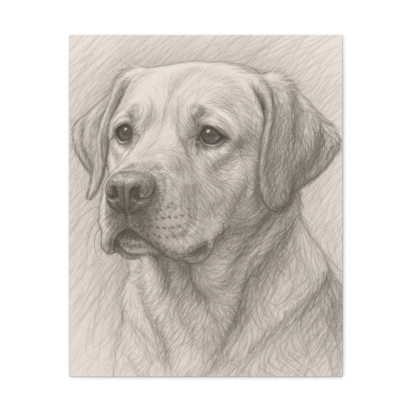 Canvas Art Print - Realistic Labrador Sketch, Dog Lover Gift, Pet Memorial Decor, Home Wall Art, Customizable Pet Portraits