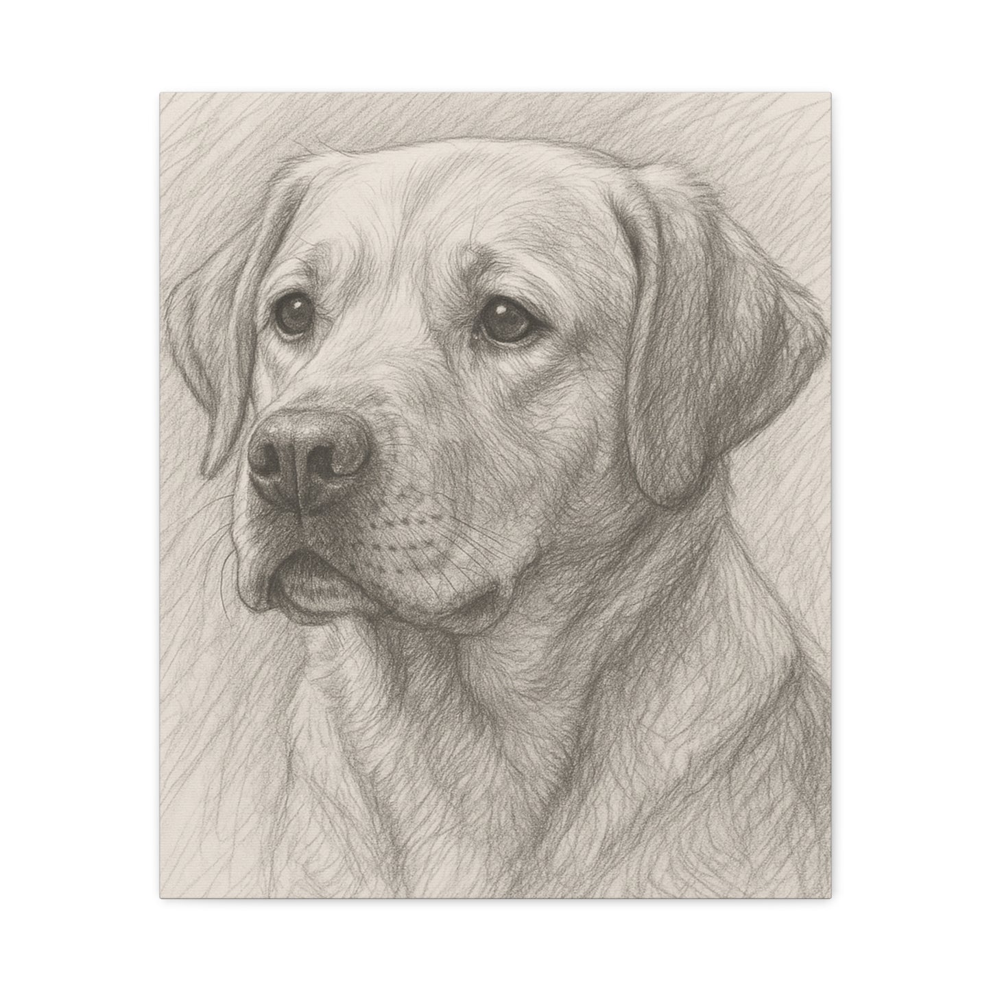 Canvas Art Print - Realistic Labrador Sketch, Dog Lover Gift, Pet Memorial Decor, Home Wall Art, Customizable Pet Portraits