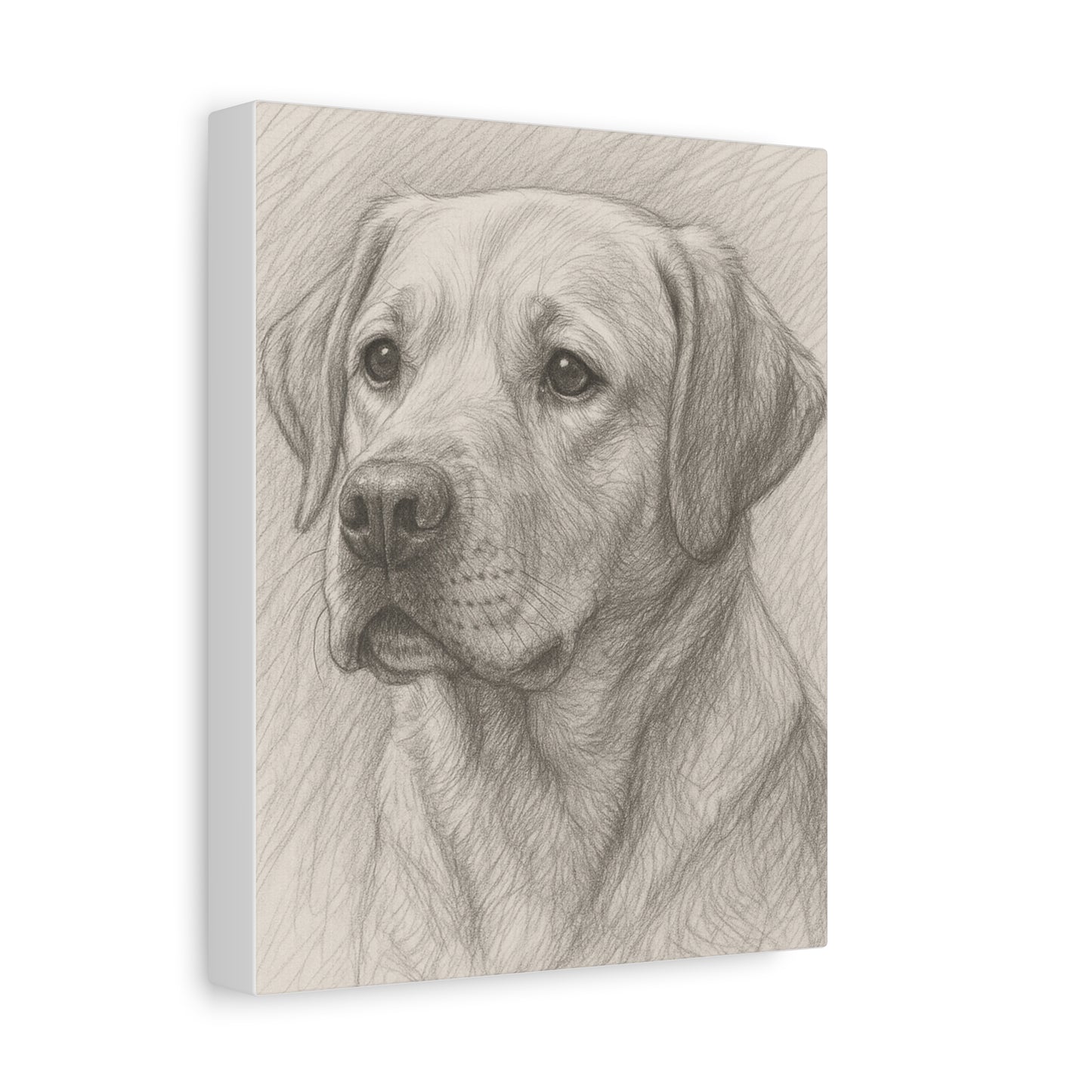 Canvas Art Print - Realistic Labrador Sketch, Dog Lover Gift, Pet Memorial Decor, Home Wall Art, Customizable Pet Portraits