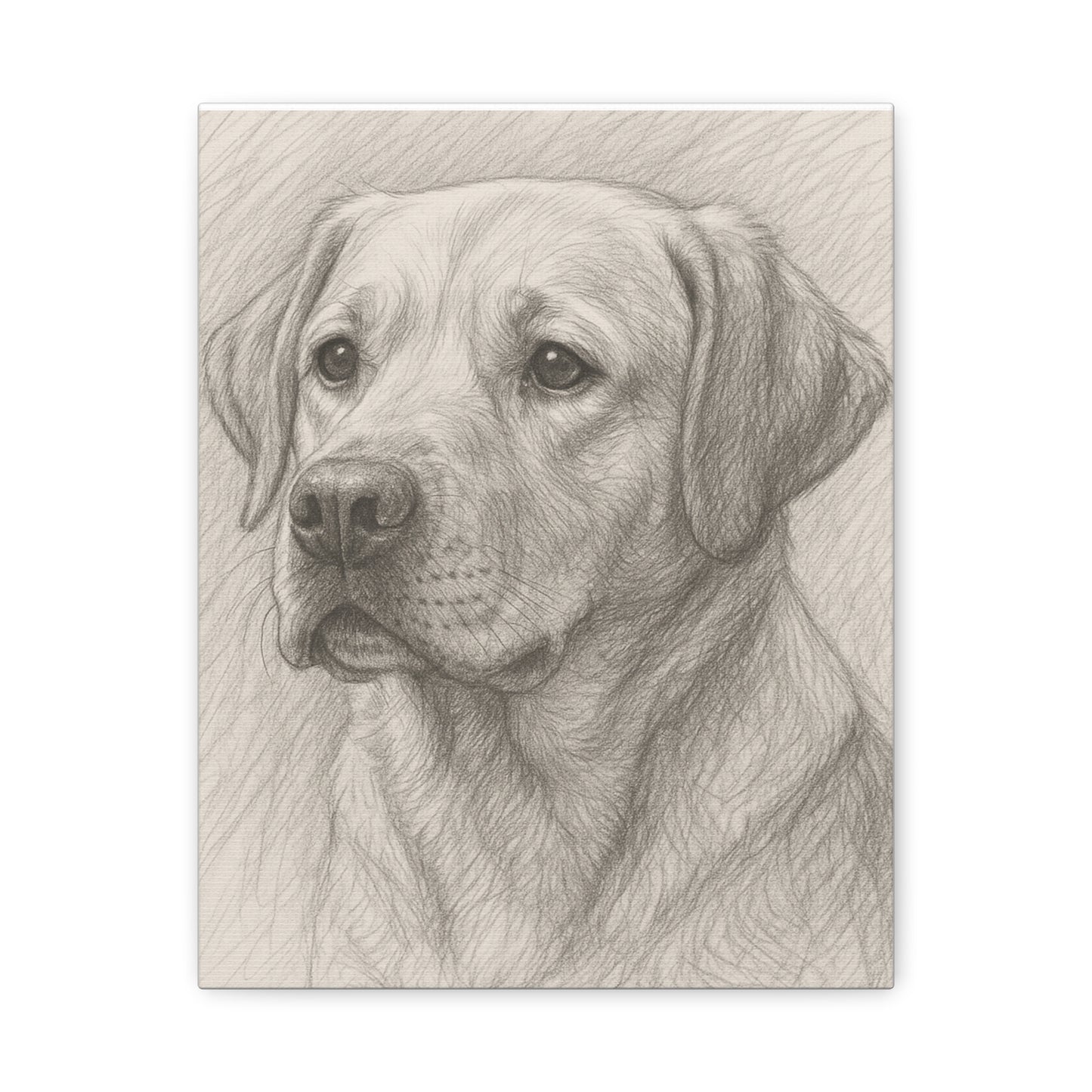 Canvas Art Print - Realistic Labrador Sketch, Dog Lover Gift, Pet Memorial Decor, Home Wall Art, Customizable Pet Portraits