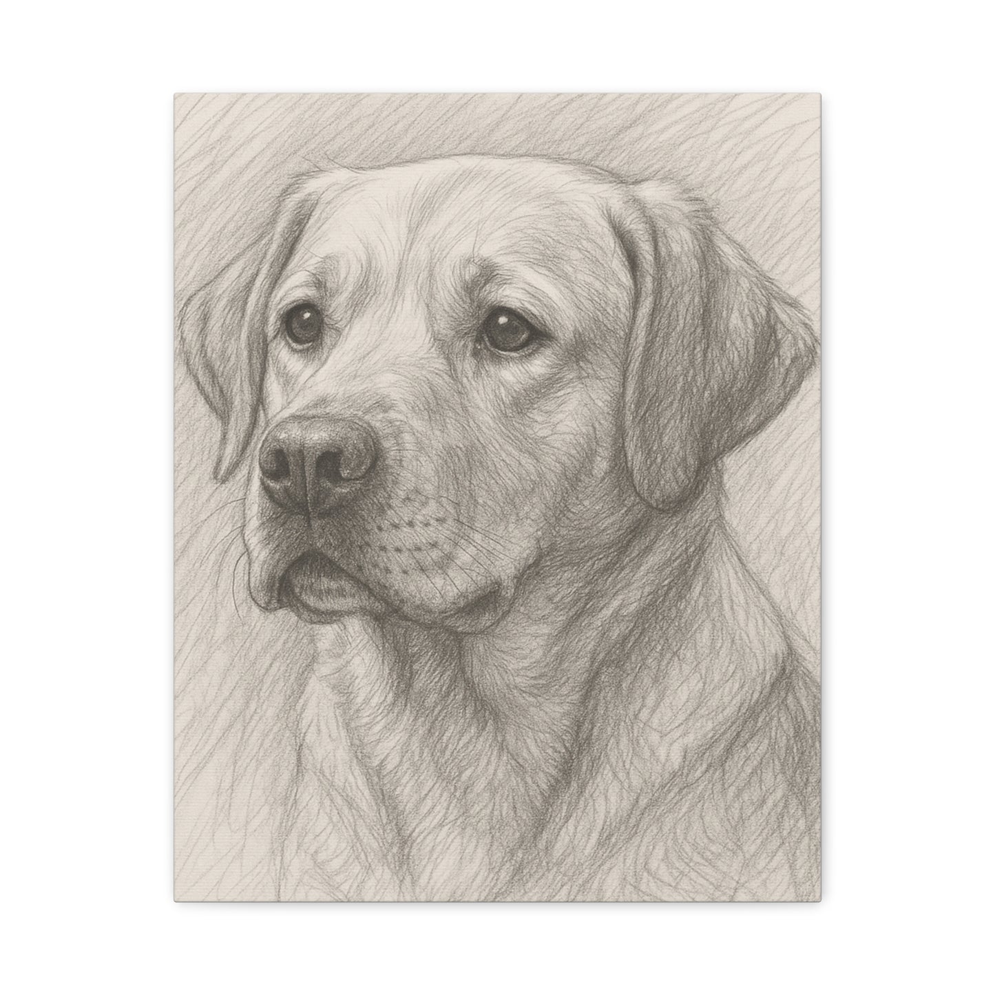Canvas Art Print - Realistic Labrador Sketch, Dog Lover Gift, Pet Memorial Decor, Home Wall Art, Customizable Pet Portraits