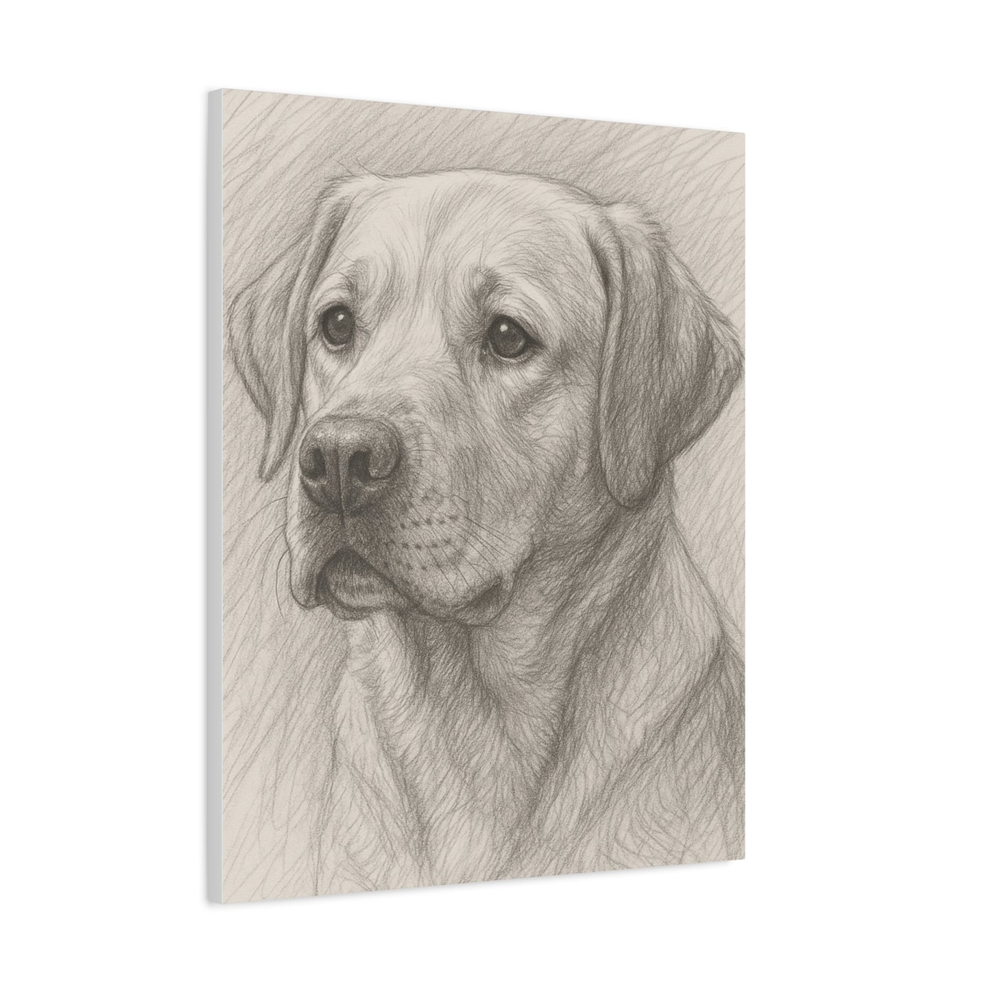 Canvas Art Print - Realistic Labrador Sketch, Dog Lover Gift, Pet Memorial Decor, Home Wall Art, Customizable Pet Portraits
