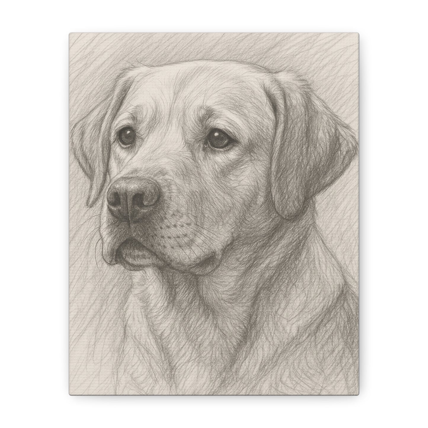 Canvas Art Print - Realistic Labrador Sketch, Dog Lover Gift, Pet Memorial Decor, Home Wall Art, Customizable Pet Portraits